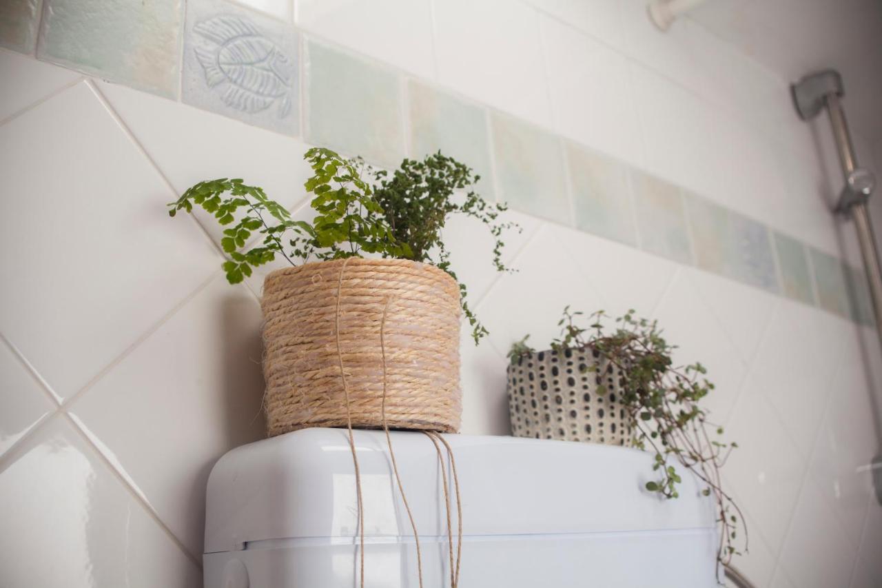 Amarilis Rooms Groznjan Luaran gambar